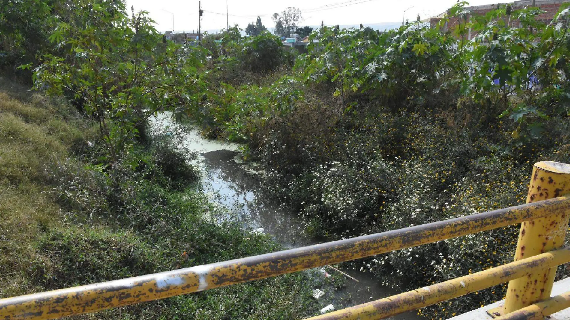 Habitantes de Urbi en Irapuato solicitan apoyo para limpieza de canal de riego (2)